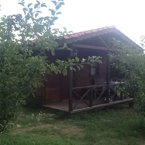  Konukevi Salkim Ve Agac Evler